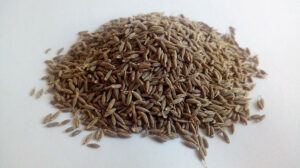 What is a cumin seed