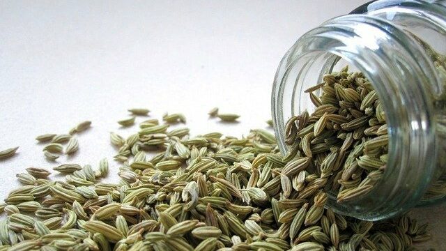 What is a Fennel Seed