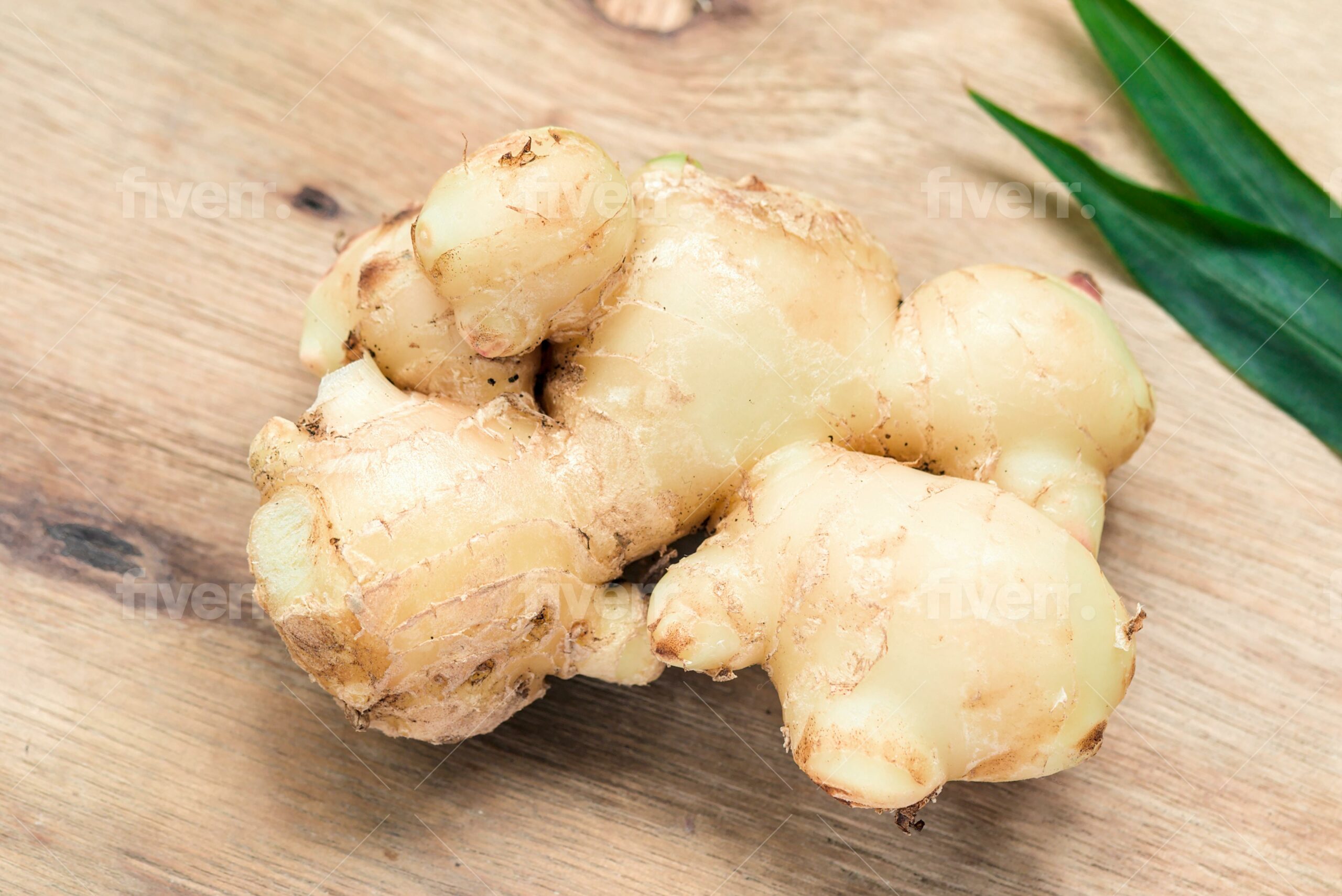 Ginger Brain Health