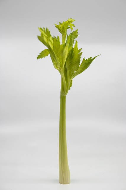 Celery Stalk