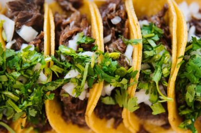 What is Taco Seasoning – Its Interesting Origins
